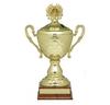 TRC-20-M Medium Gold Cup on Wooden Base with Lid