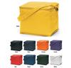 COB-05 Denzal Cooler Bag